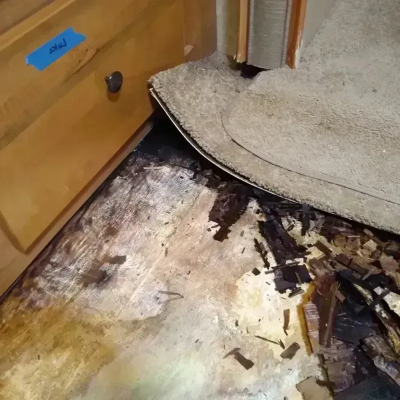 Wood Floor Water Damage in Atkinson County, GA